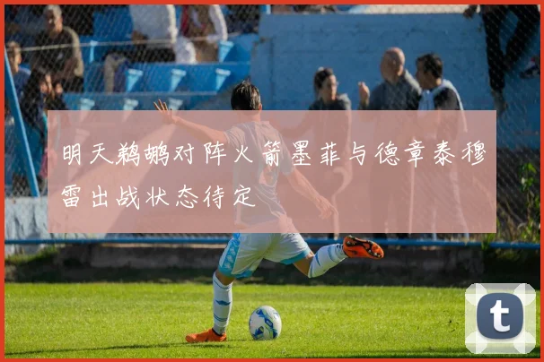 明天鹈鹕对阵火箭墨菲与德章泰穆雷出战状态待定