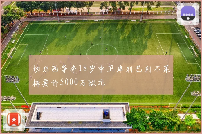 切尔西争夺18岁中卫库利巴利不莱梅要价5000万欧元