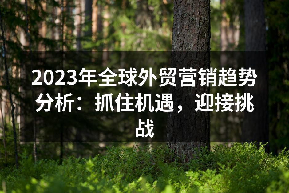 2023年全球外贸营销趋势分析：抓住机遇，迎接挑战