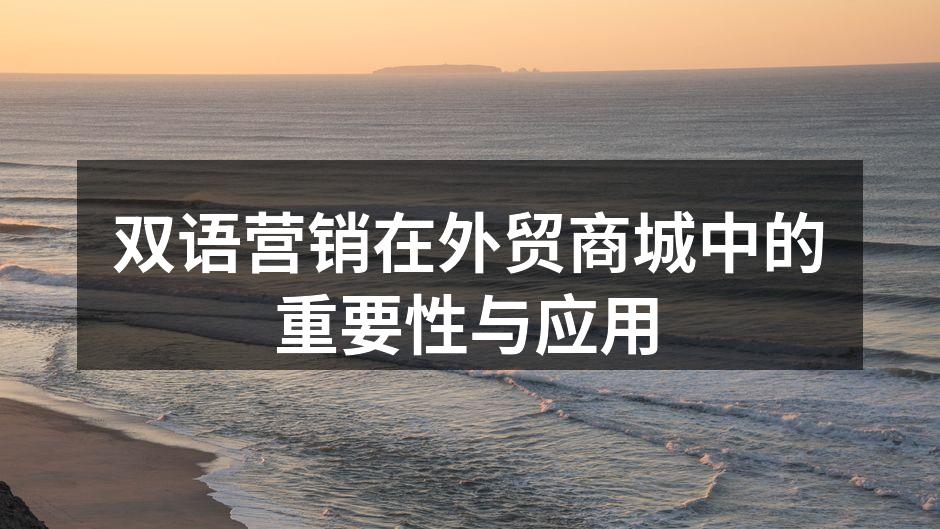 双语营销在外贸商城中的重要性与应用