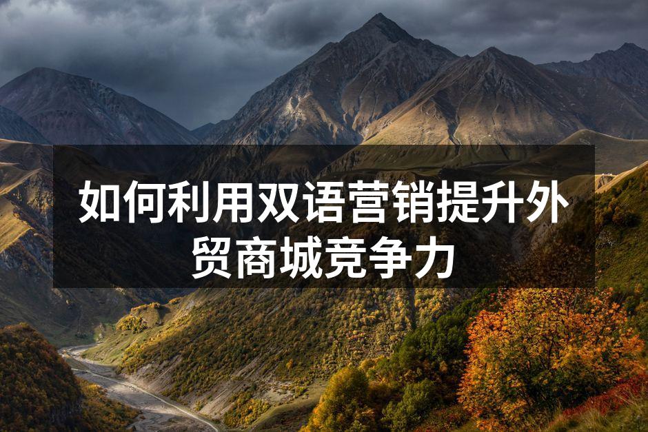 如何利用双语营销提升外贸商城竞争力