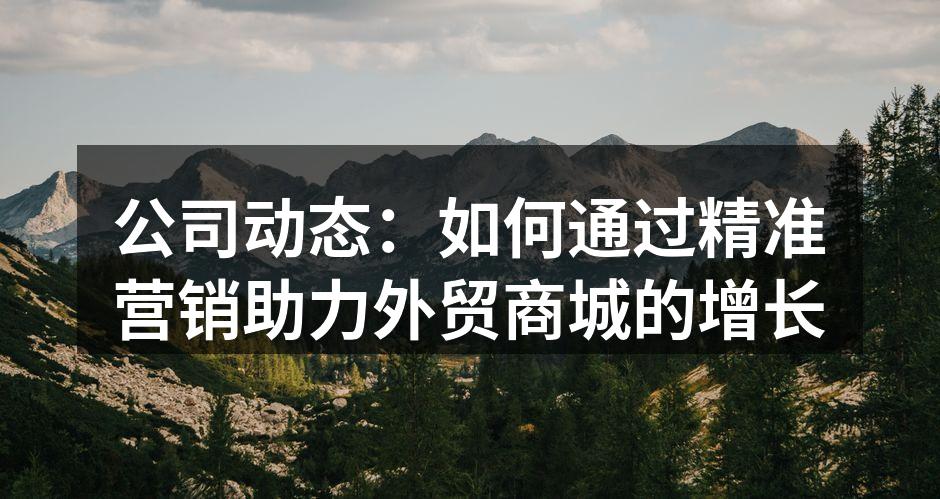 公司动态：如何通过精准营销助力外贸商城的增长