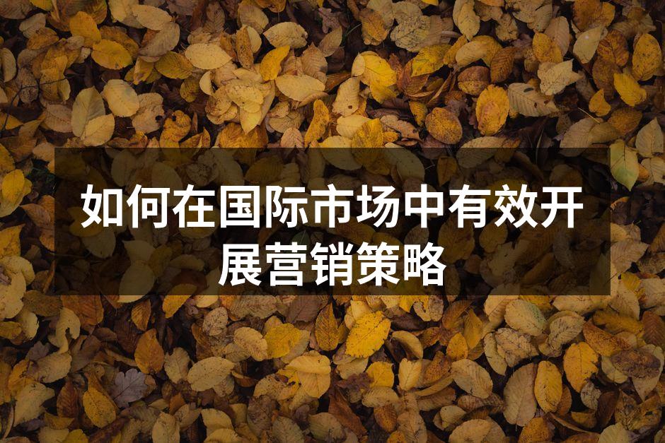 如何在国际市场中有效开展营销策略