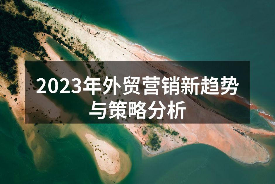 2023年外贸营销新趋势与策略分析