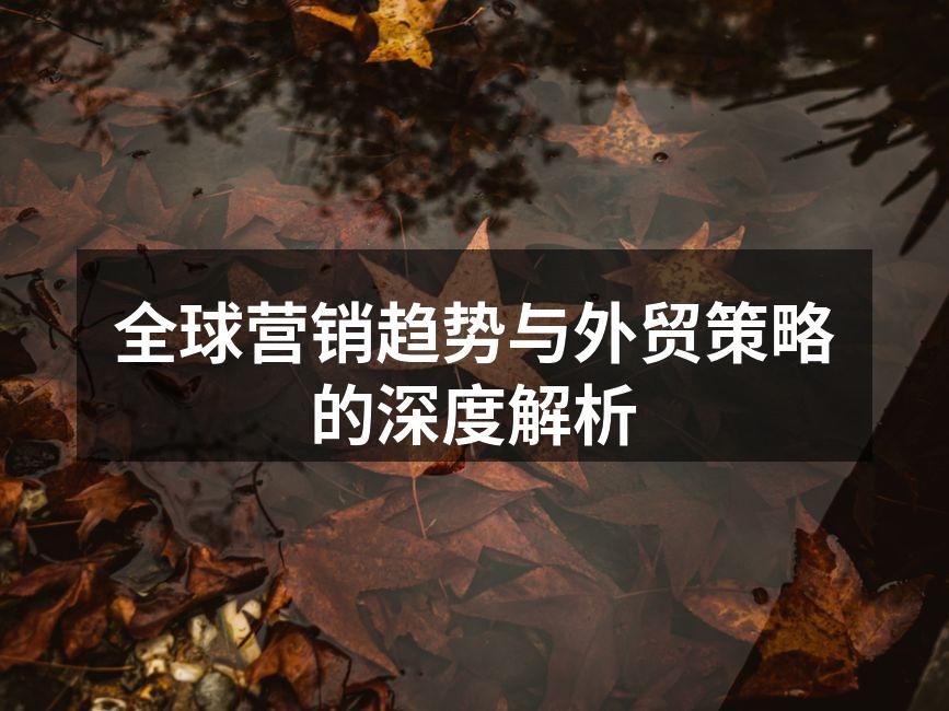 全球营销趋势与外贸策略的深度解析