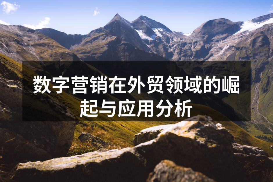 数字营销在外贸领域的崛起与应用分析