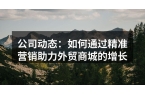 公司动态：如何通过精准营销助力外贸商城的